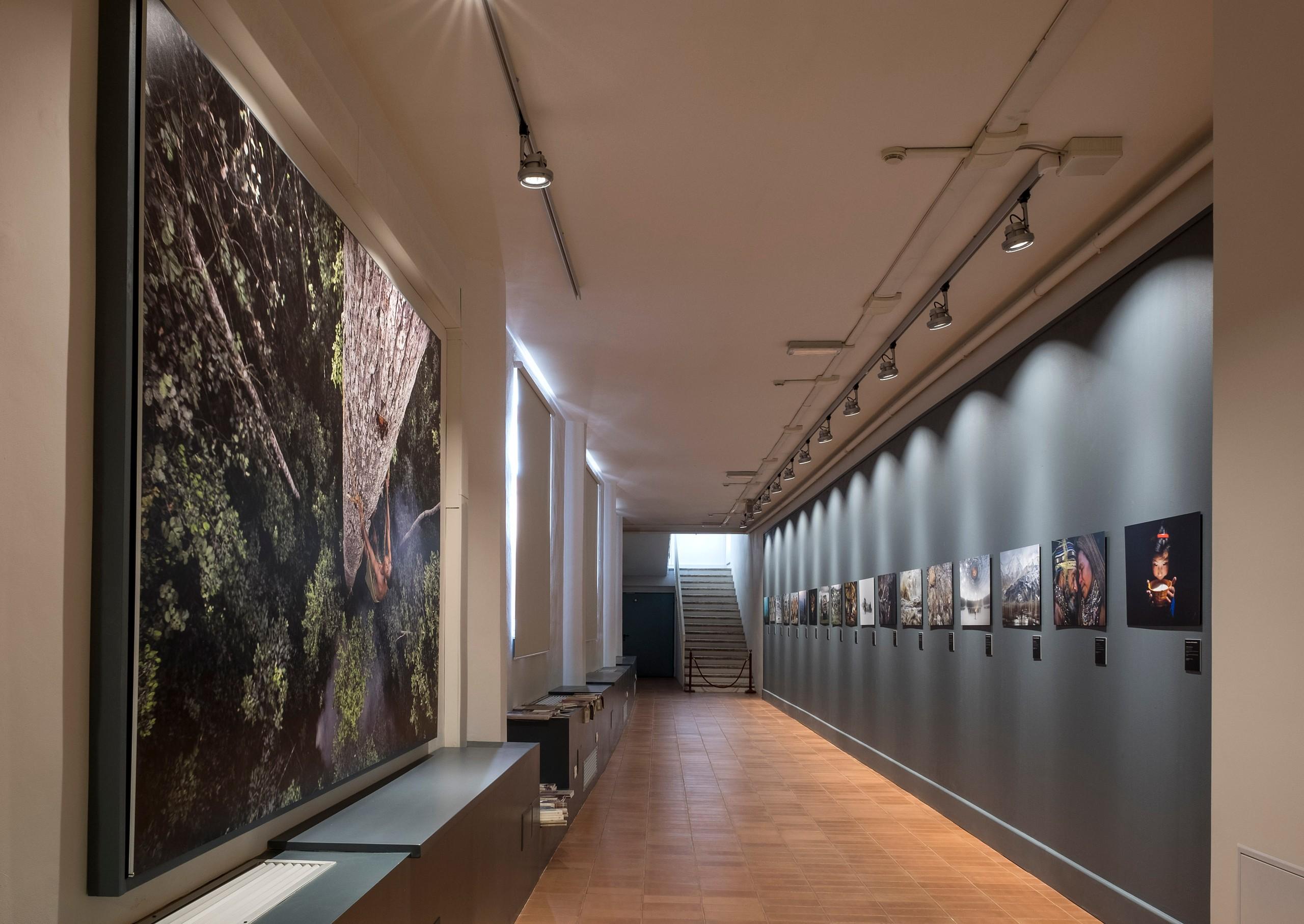 Exhibition "End of the Road" by Timothy Allen at the Biblioteca