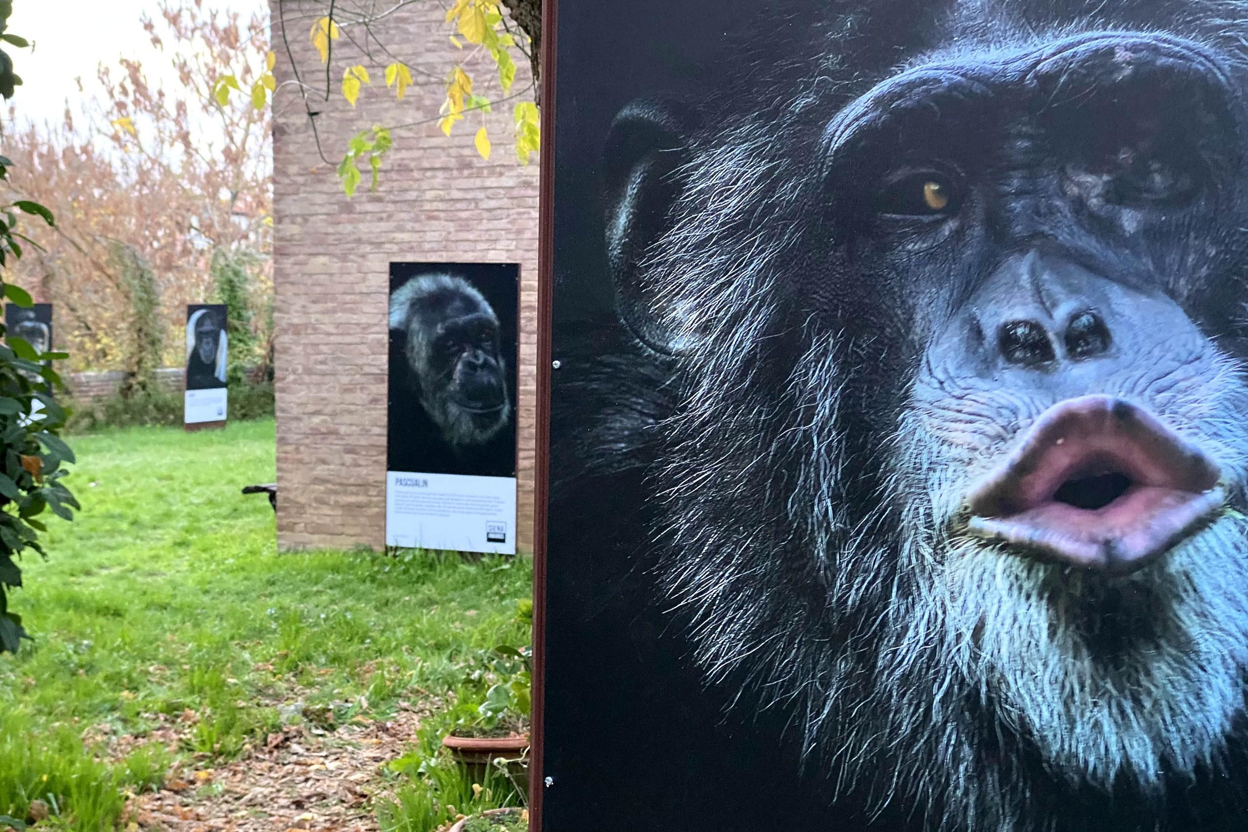 Exhibition "The Other Refugees" by Pedro Jarque Krebs at Area Verde Camollia