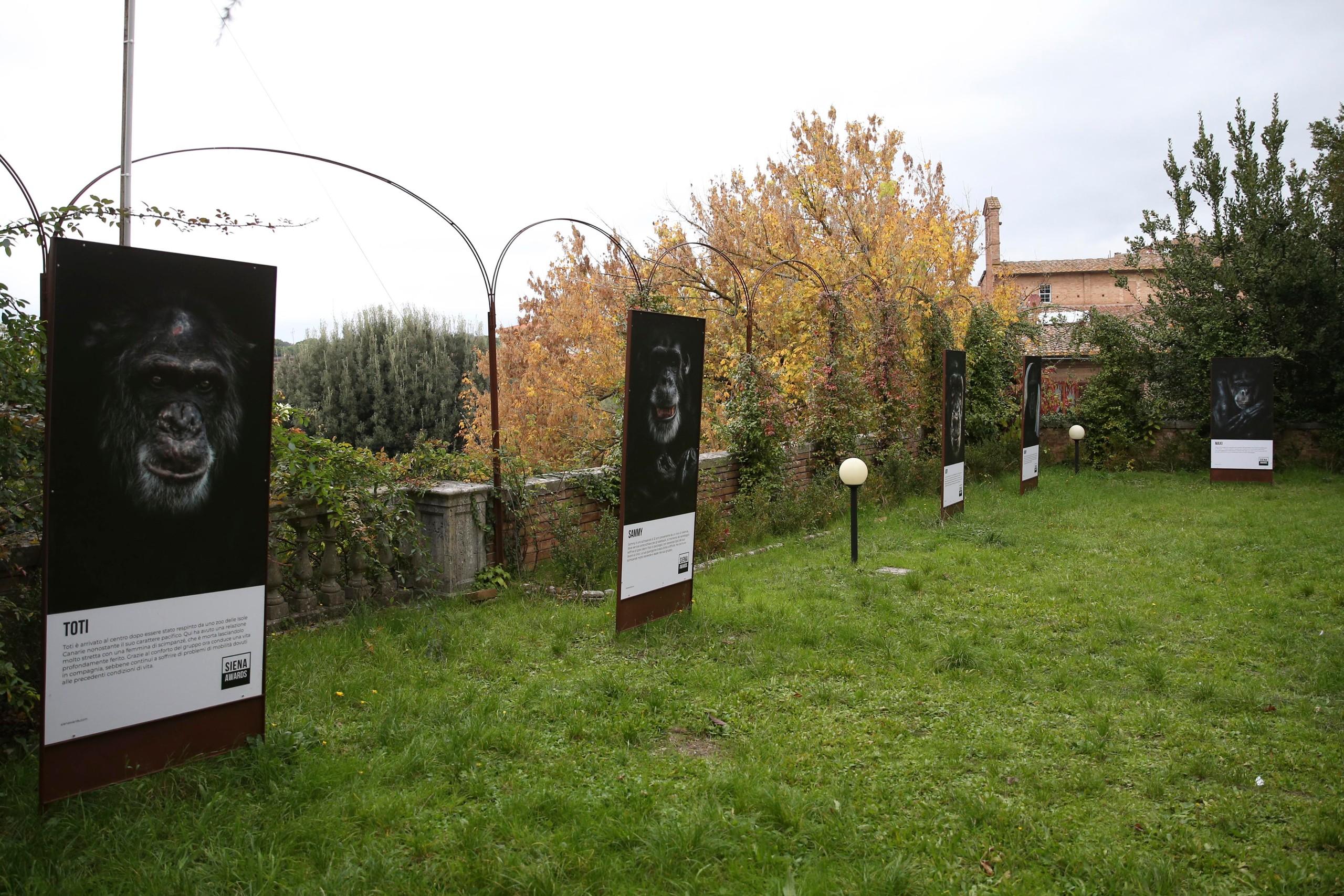 Exhibition "The Other Refugees" by Pedro Jarque Krebs at Area Verde Camollia