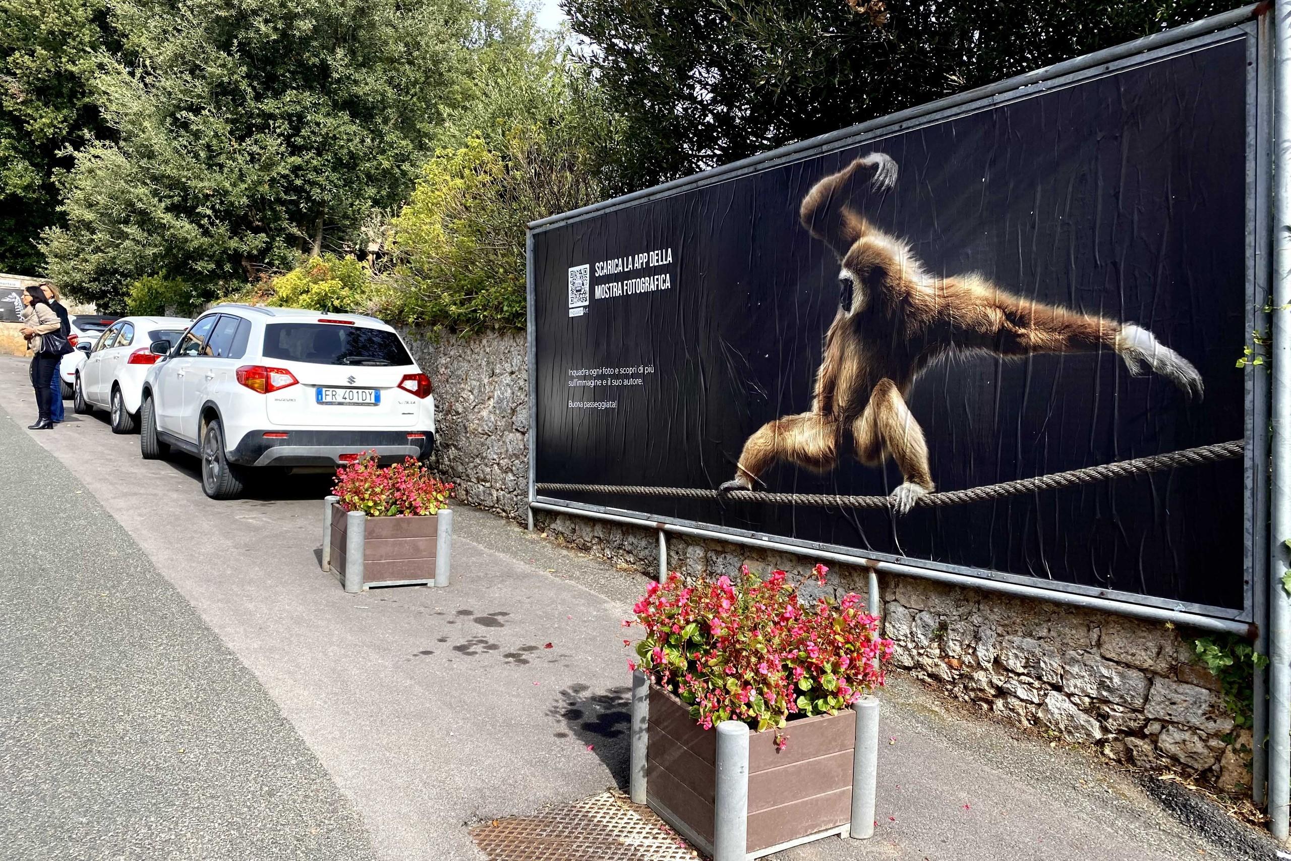 "Animalia” exhibition in Comune di Sovicille