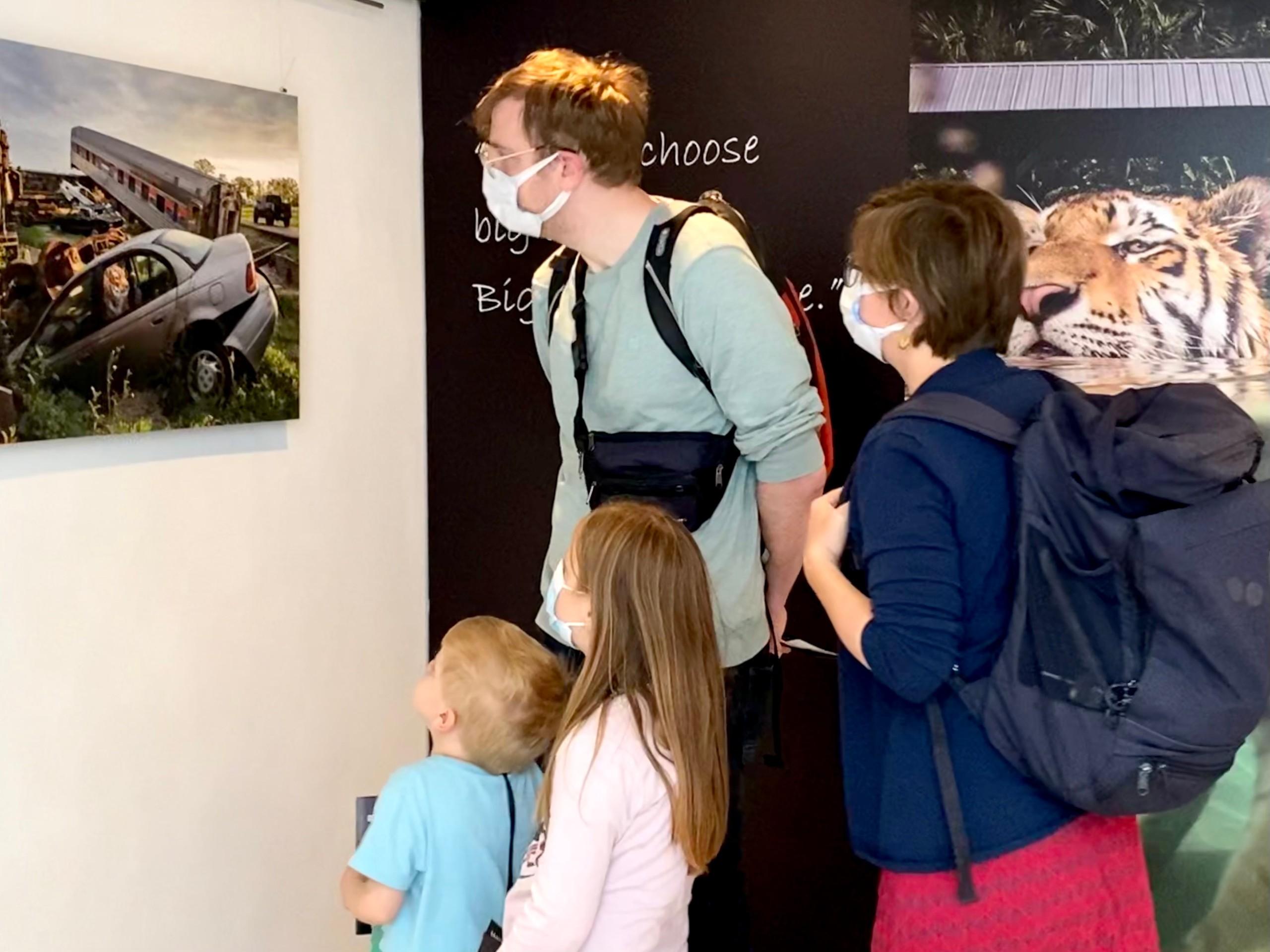 Exhibition "Big Cats" by Steve Winter at Museum of Natural History