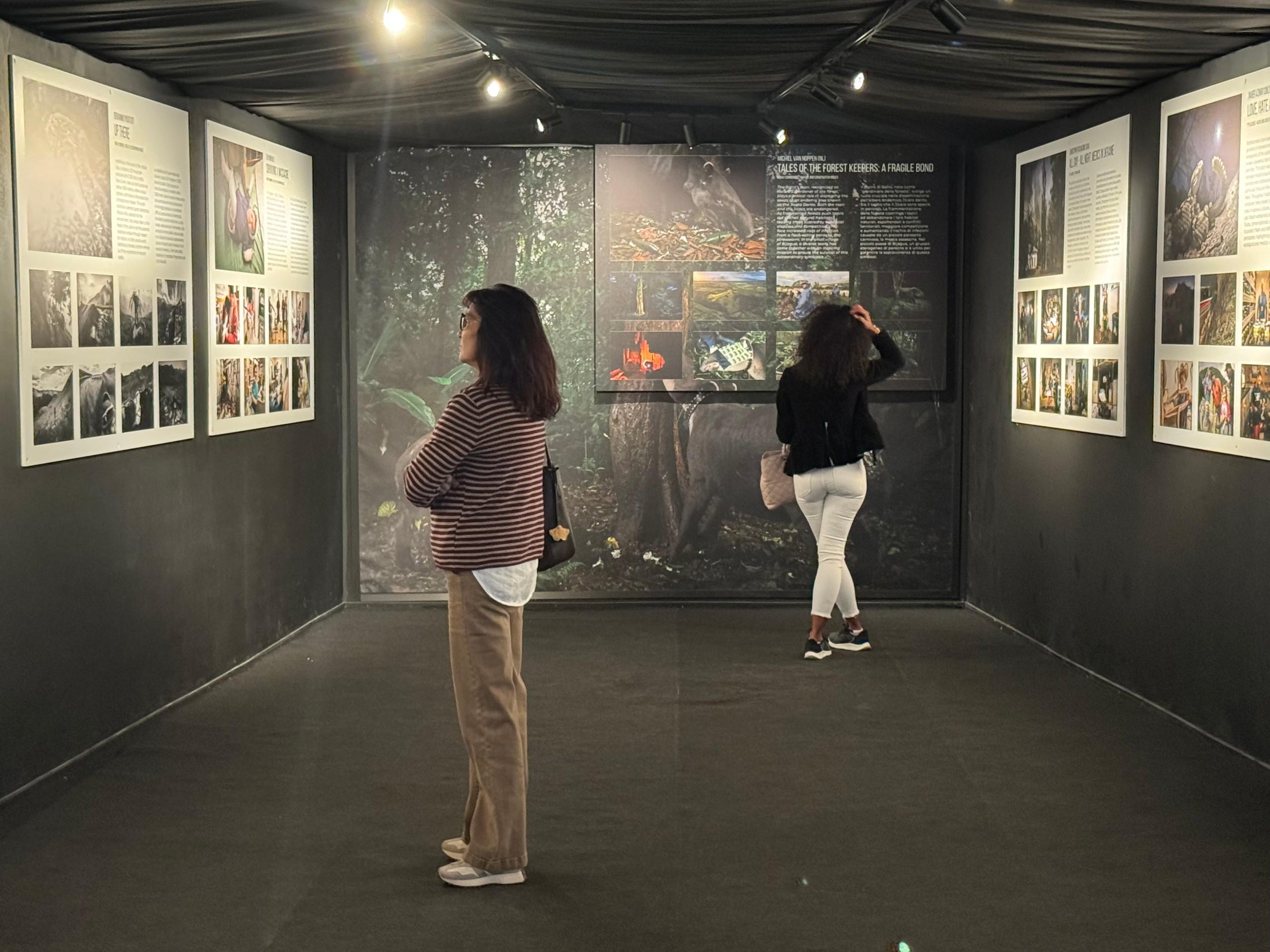 Exhibitions | Siena Awards 2025